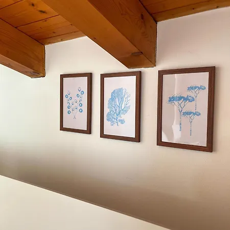 Dainese Apartments, Casa Abigail